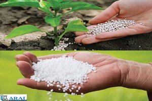 بلومبرگ: قیمت برنج در آسیا در ماه مه با سریع‌ترین سرعت ماهانه خود در نزدیک به دو دهه گذشته افزایش یافت / تأثیر جنگ در خاورمیانه ممکن است محدود به افزایش قیمت برنج نباشد، بلکه ممکن است حتی قیمت جهانی مواد غذایی را برای سال‌ها تحت تأثیر قرار دهد / زنجیره‌های تأمین کود ممکن است بین یک تا چهار سال طول بکشد تا بهبود یابند
